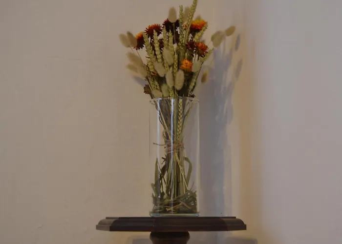בית נופש La Rosa E La Spina - Casa Indipendente Con Giardino - - Di דרביו