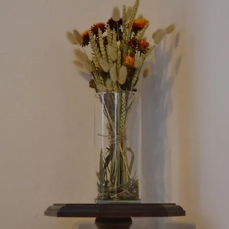 別荘 La Rosa E La Spina, Independent & Rustic Garden Villa, 300m From デルヴィオ